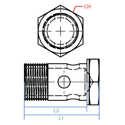 MALE BSPP BANJO BOLT5