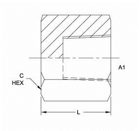 20 NPTF Hex Pipe Cap