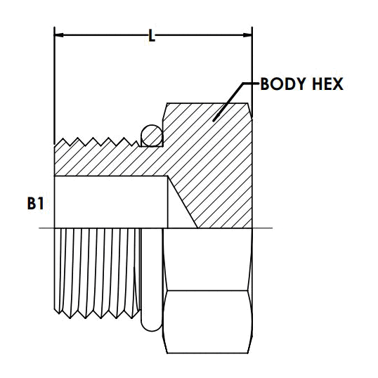 20MORB External Hex Head Plug