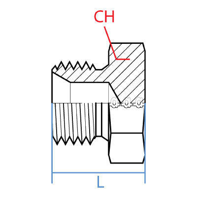 BSPP HEX PLUG